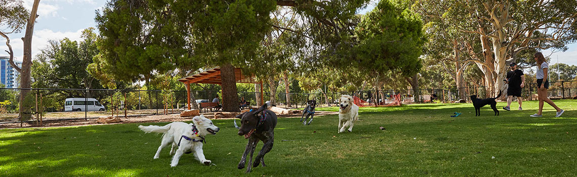 which city has the most dog parks