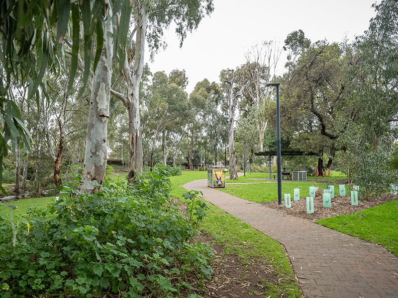 Reserve with trees open space and wandering path